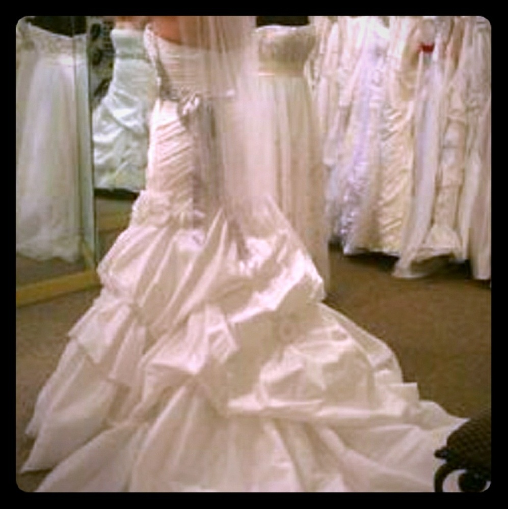 Pronovias Mercadel Wedding Dress